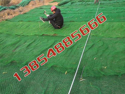 �c���鿴Ԕ����Ϣ���}�����Sֲ���W(w��ng) ��x�Δ�(sh��)��1396